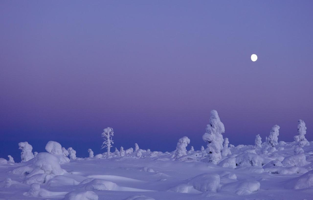 Norlight - Aurinko West Ivalo